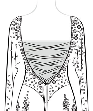 Add 1 Layer Mesh Covering