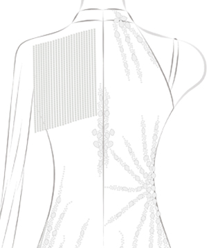 All Cover Back
