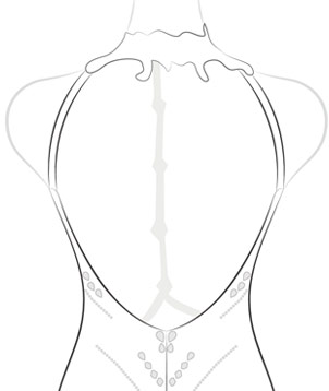 Cutout Back