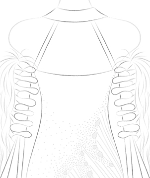 Half Cover Back