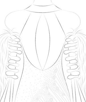 Keyhole Back