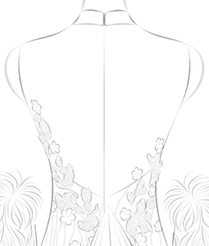 All Cover Back