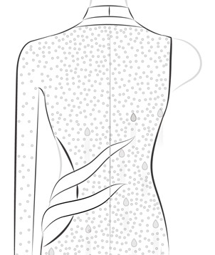 All Cover Back