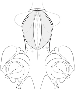 Keyhole Back