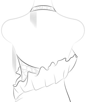 Half Cover Back