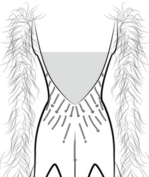 Add 1 Mesh Covering