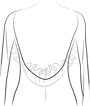 No Back Covering