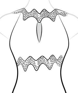 Add Front Covering