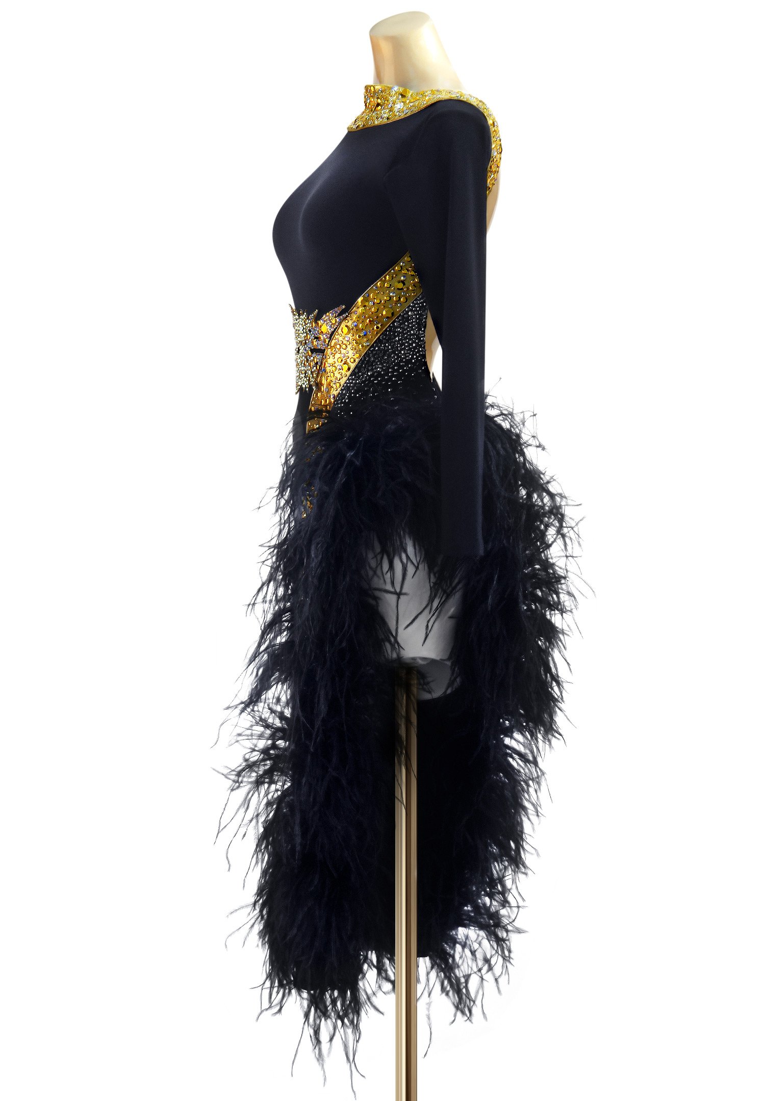 Masquerade Feathered Latin Costume PC-WL18012