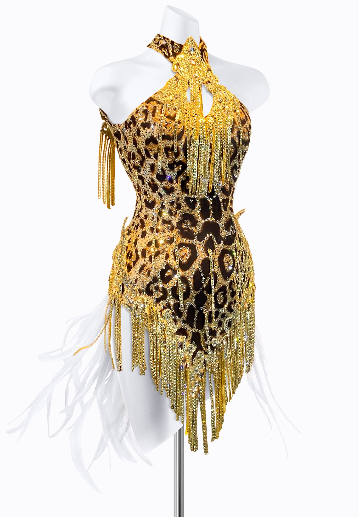 Wild Reign Latin Dress PR-L225039