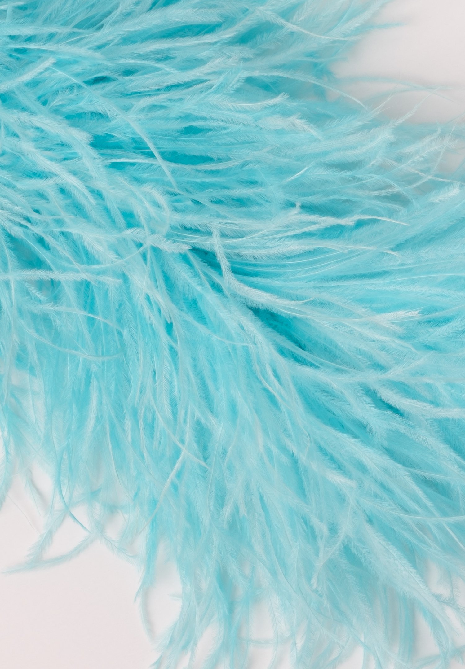 Chrisanne Clover Pure Ostrich Lux 6 Ply Boa | Danceshopper