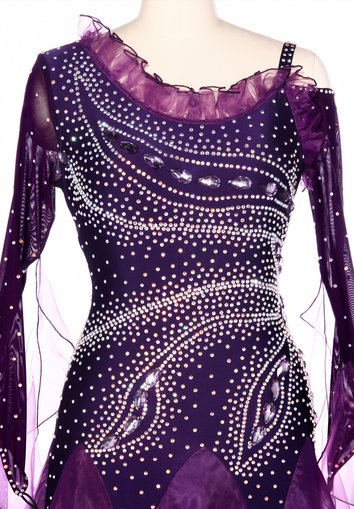 Fancy Phoenix Tail Motif Ballroom Dance Competition Dress VN-A5201 |  International Ballroom