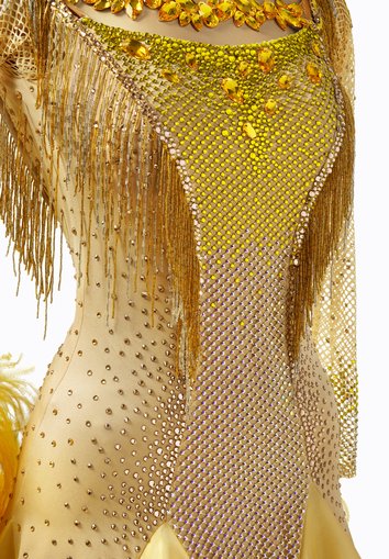 green emerald velvet dress Customized Gold Sequins Latin Dress Backless Tassel Fringed Short Dance  Skirt Tango Salsa Samba Dancewear Competition Outfits  DANCEYM