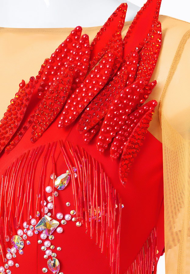 strapless open back dress Fringe Glamour Latin Dance Dress main image 1