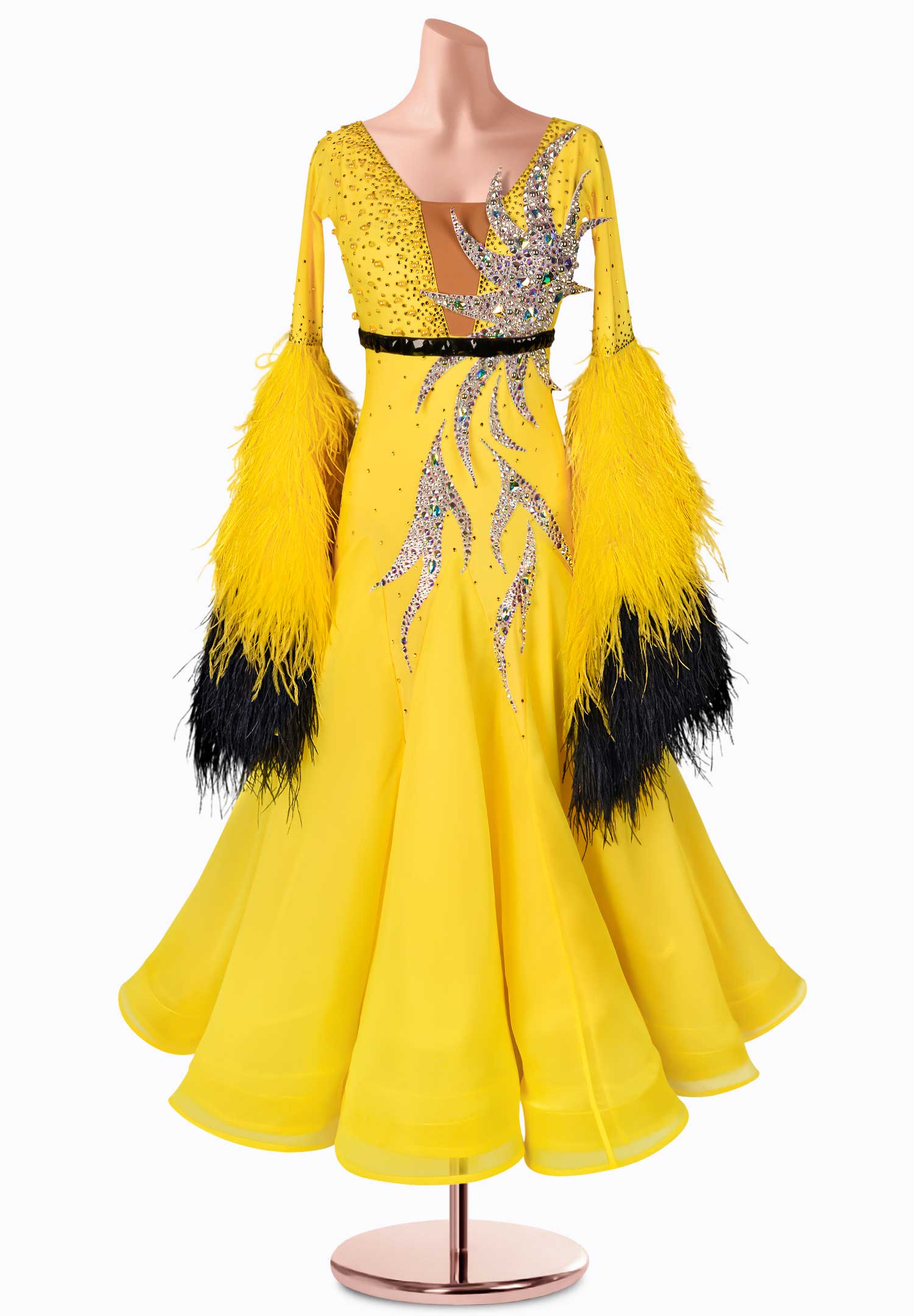 Sunny Applique Ballroom Gown TID-BM0323