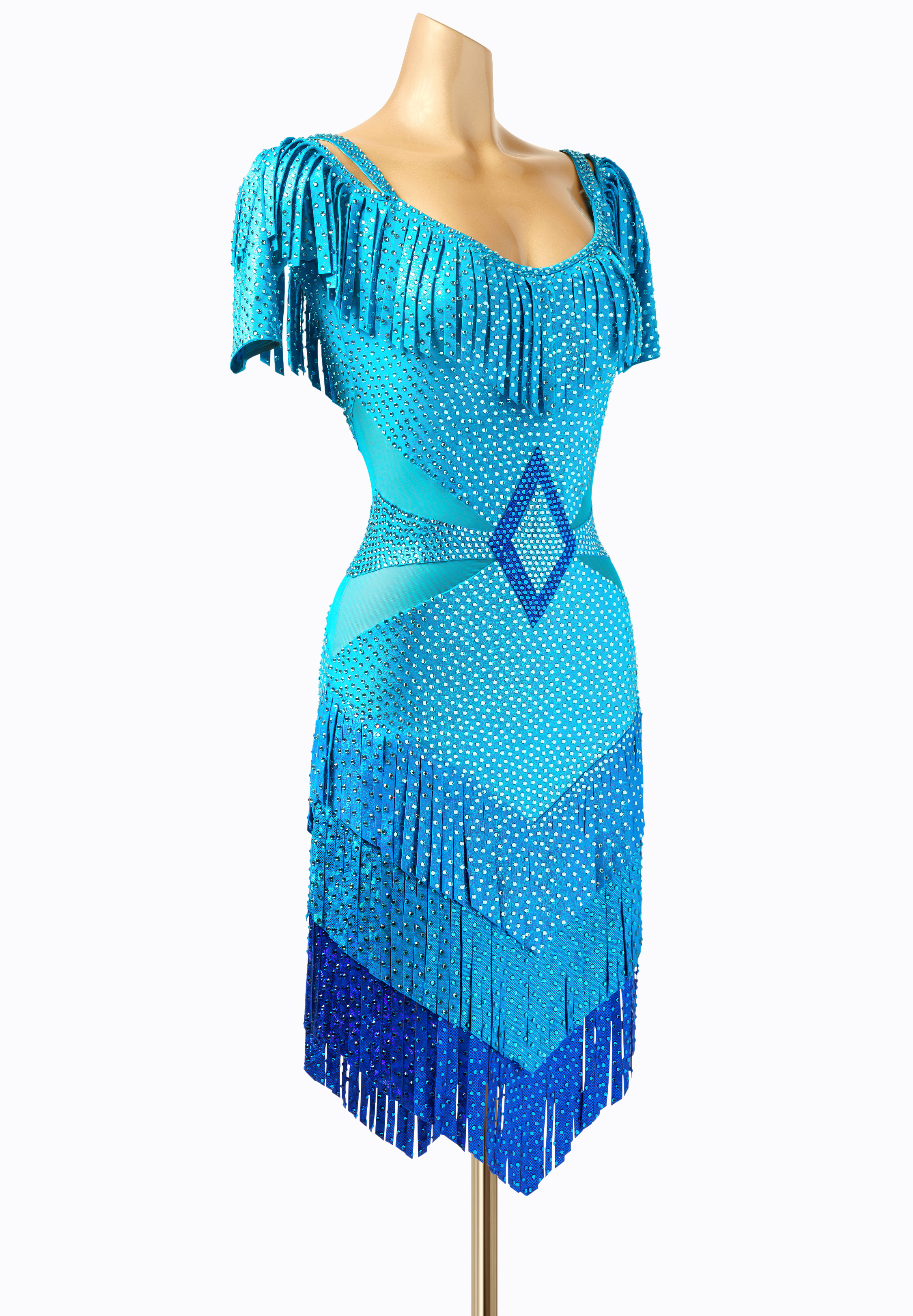 Sensu by Ina Diamond Fringe Latin Dress