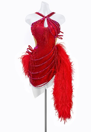 Showtime Feather Latin Dress AM-L3747