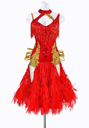 Beaded Blaze Latin Dress AM-L3309