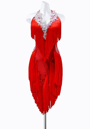 Blushing Applique Latin Dress AM-L3617