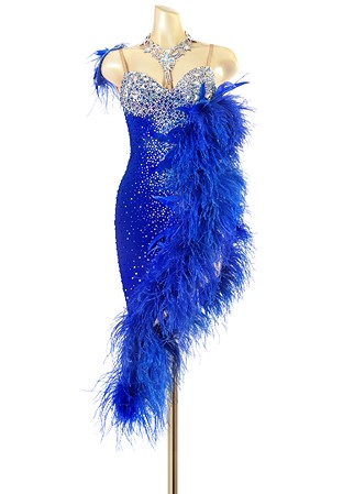 Crystal Sweetheart Feather Latin Dress PC-WL180091