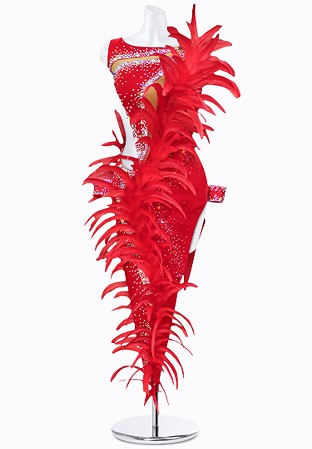 Dancing Feather Latin Dress AM-L3114