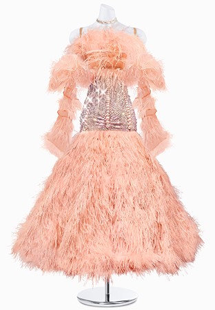 Feather Fantasy Ballroom Gown PR-B200017