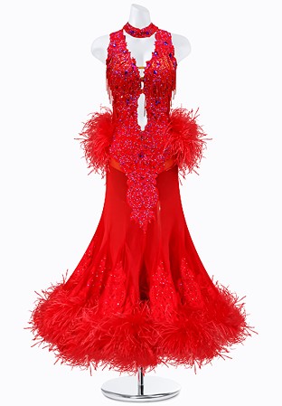 Feather Passion Ballroom Gown AM-B3017