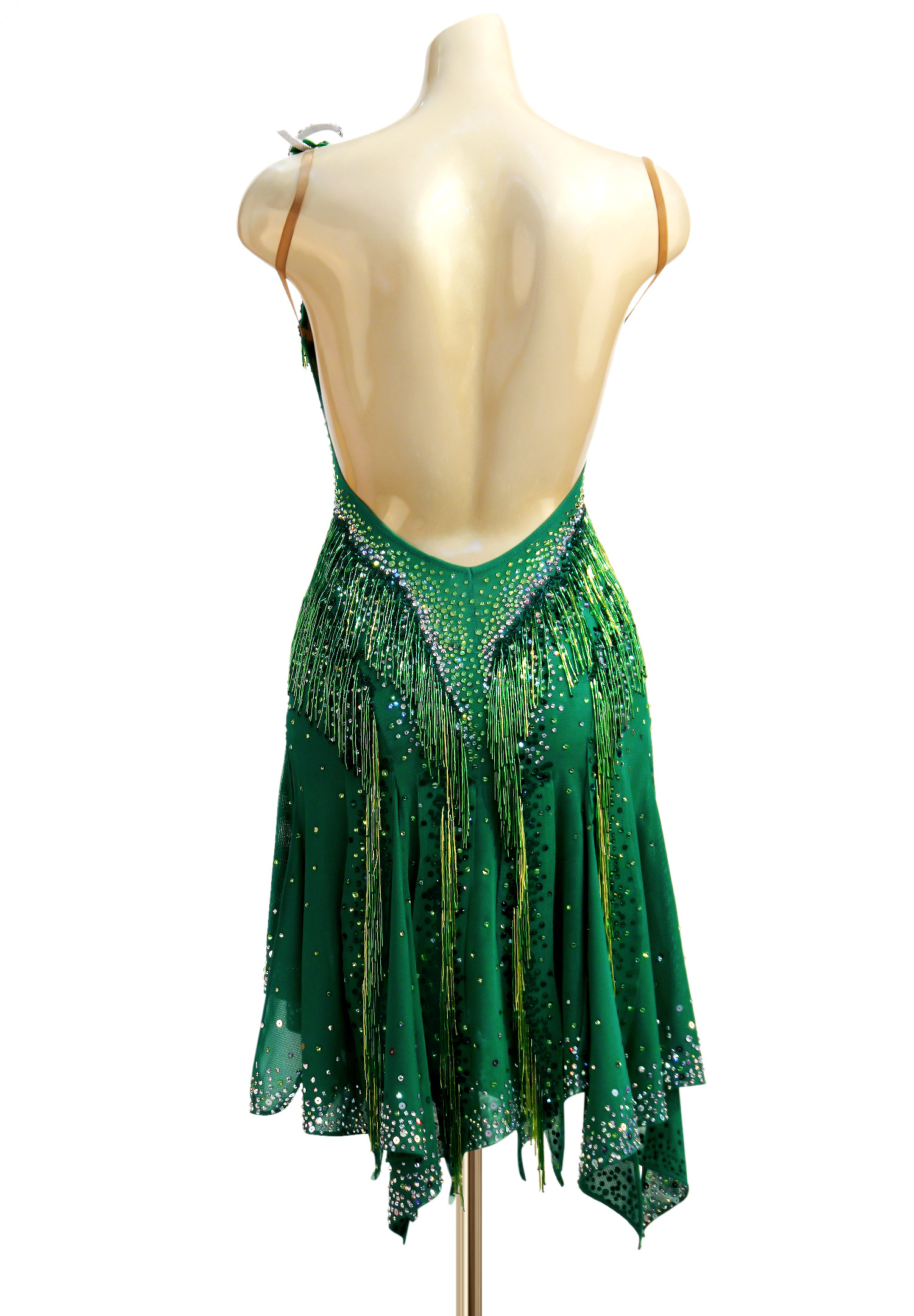 Forest Fringe Latin Competition Dress PCWL180023 Latin Rhythm