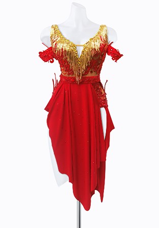 Fringe Romance Latin Dress AM-L3653