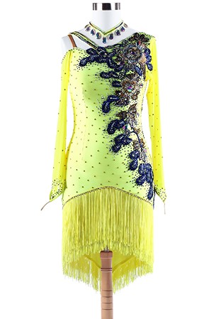 Glittery Floral Embroidery Fringe Latin Rhythm Competition Dress L5269