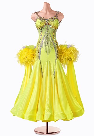 Sunny Sleek Ballroom Gown TID-BM0574