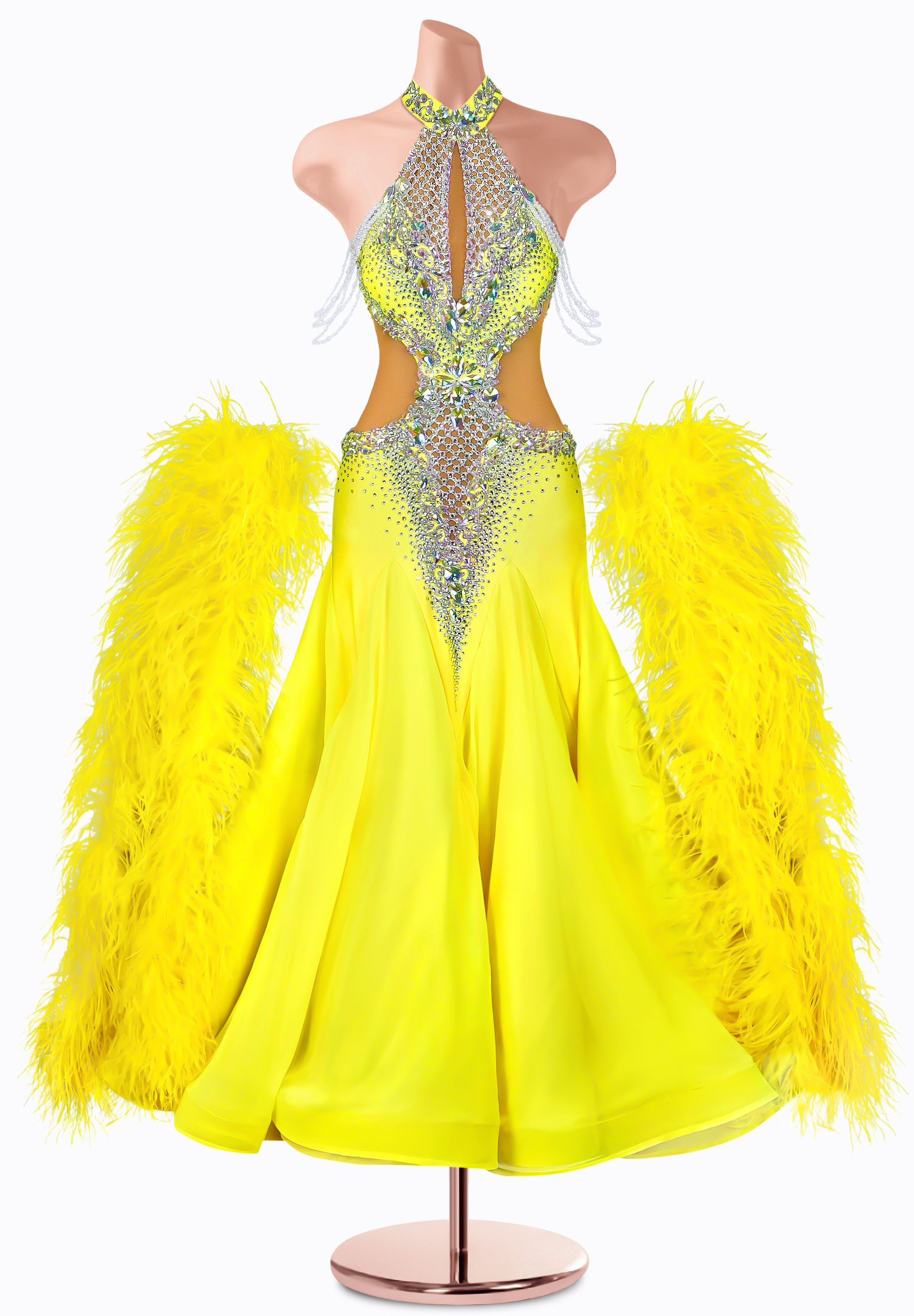 Sunny Mesh Ballroom Gown TID-BM0956