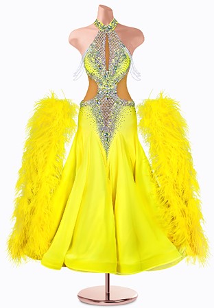 Sunny Mesh Ballroom Gown TID-BM0956