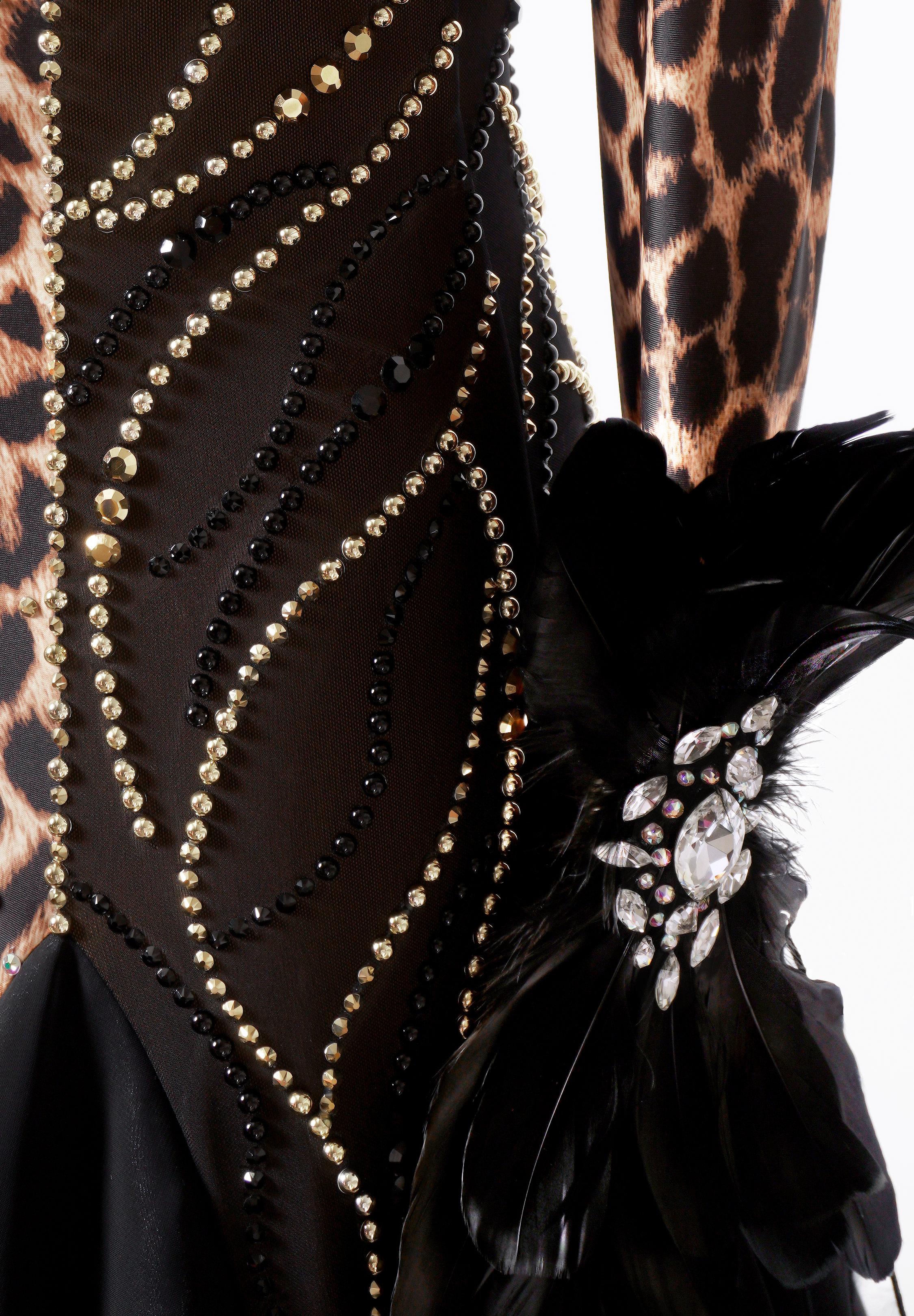 Leopard_