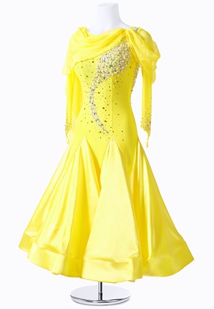 Organza Embrace Ballroom Dress MFB0135