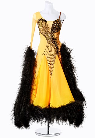 Ravishing Feather Ballroom Dress MFB0236