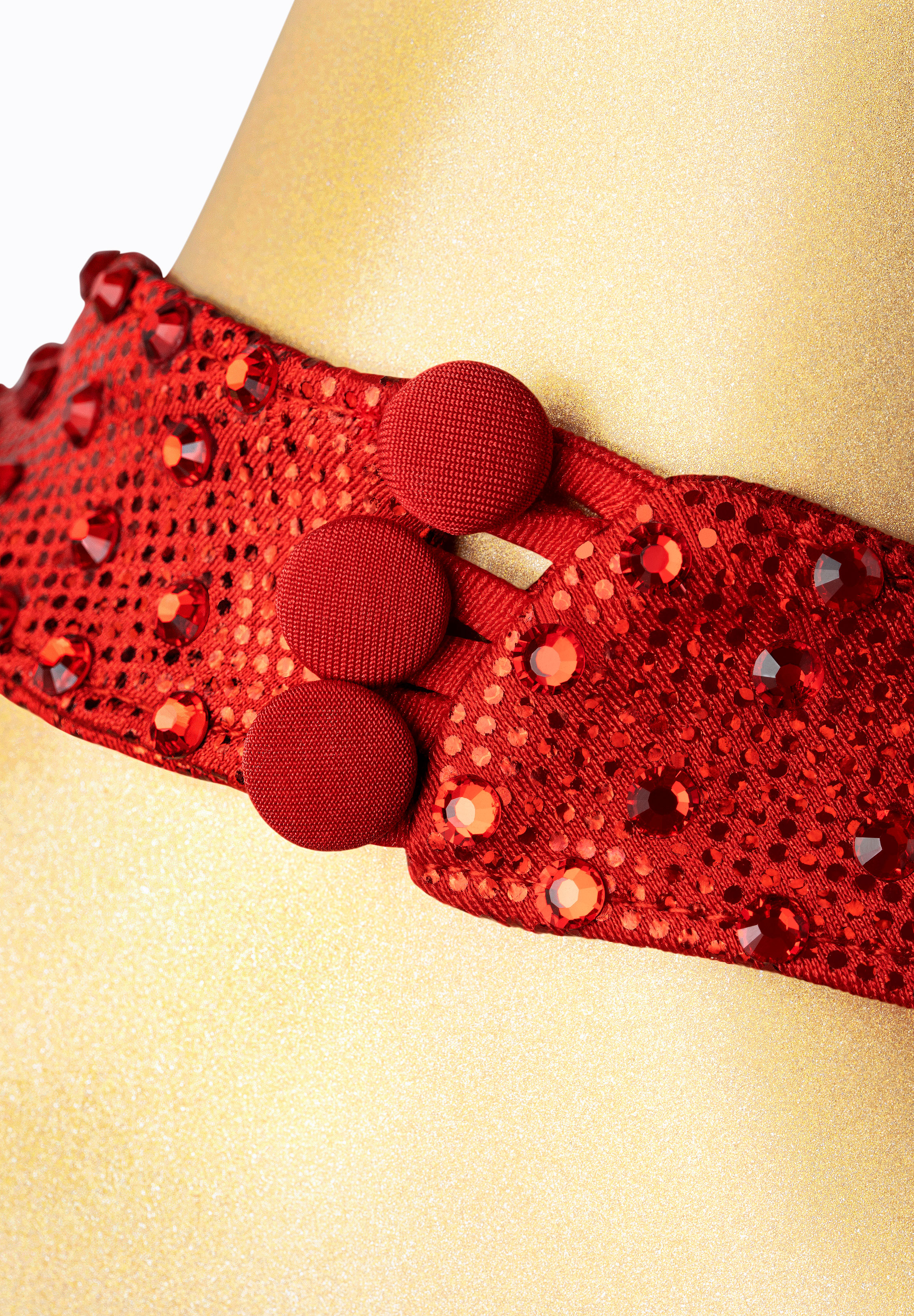 Inajeliazkovaラテンドレス Inajeliazkovaラテンドレス Ina Jeliazkova