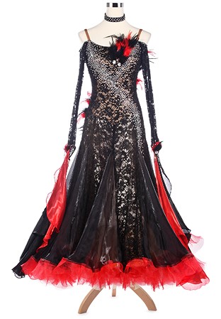Sheer Lace Bodice Feathered Ballroom Competition Dress A5189