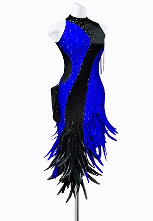 Sleeveless Feather Latin Dress AML3508