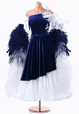 Starlight Swan Ballroom Gown TID-BM1242