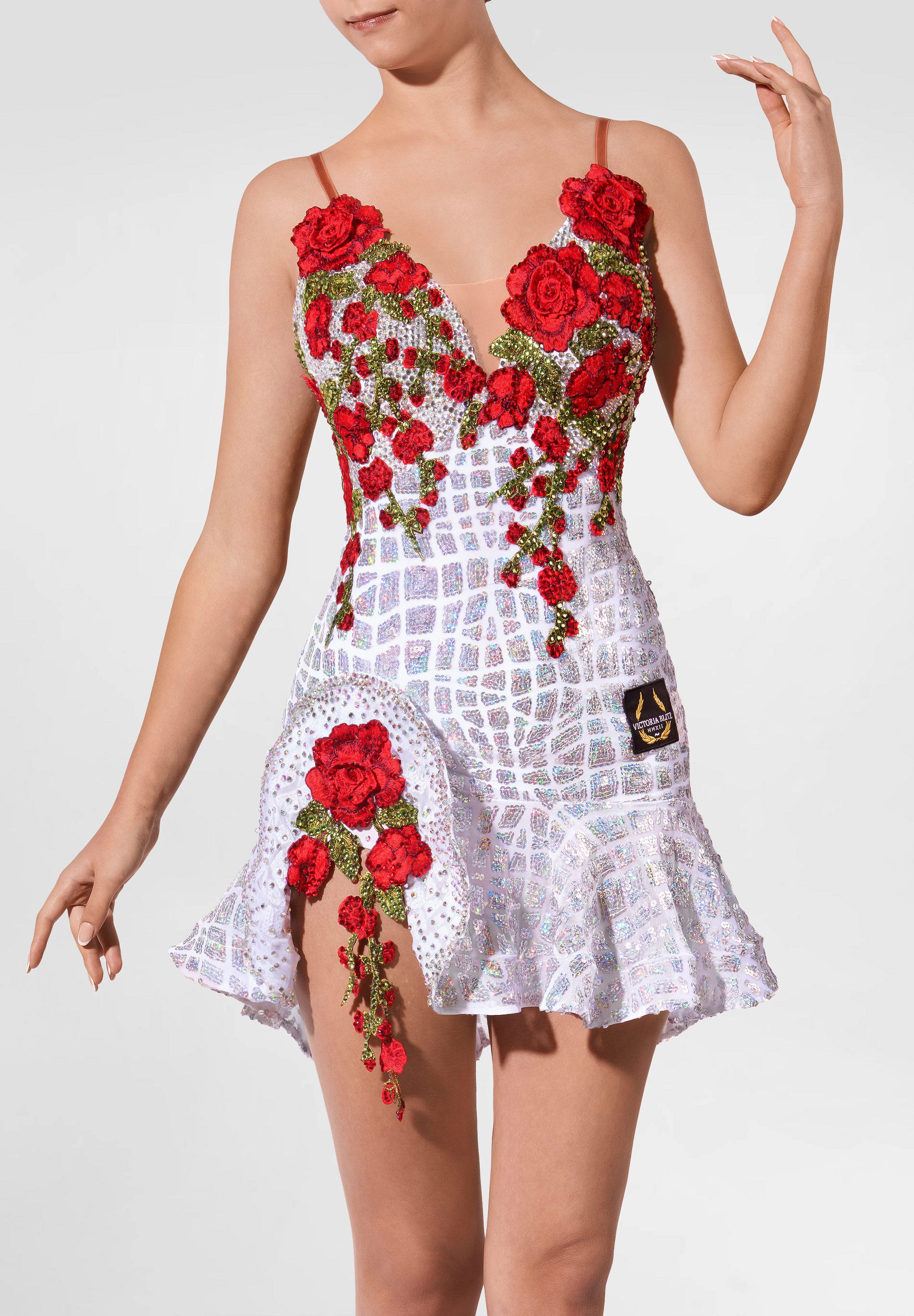 Celestial Garden Latin Dress VB-L25038