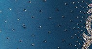 A5314 Dark Cyan