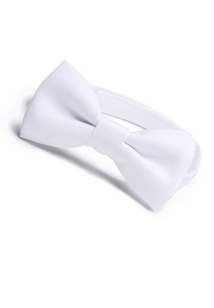 DSI 4200 Bow Tie
