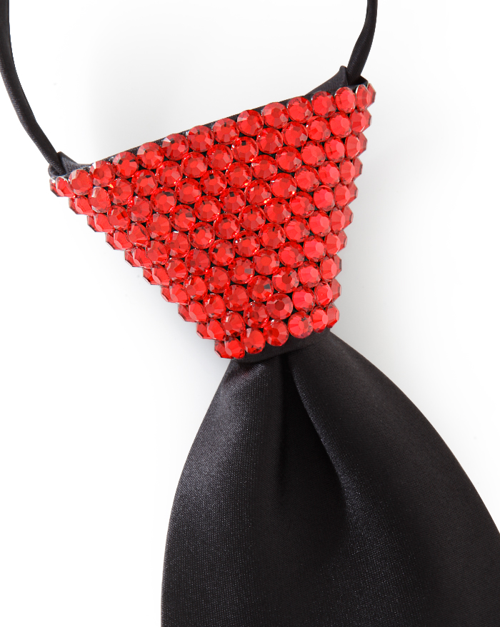 Vito Dance Crystallized Hyacinth Zip Tie-Black Tie