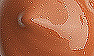 2 Topaz Samba w Shimmery