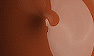 5 Brown Stone
