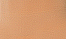 Mocha