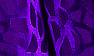 Purple Vogue Burnt-out Velvet