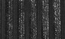 Black_1373