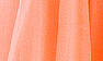 Coral 1100